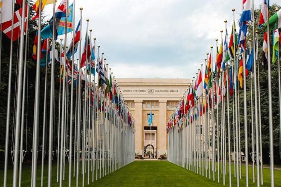 Flags infront of the UN Building